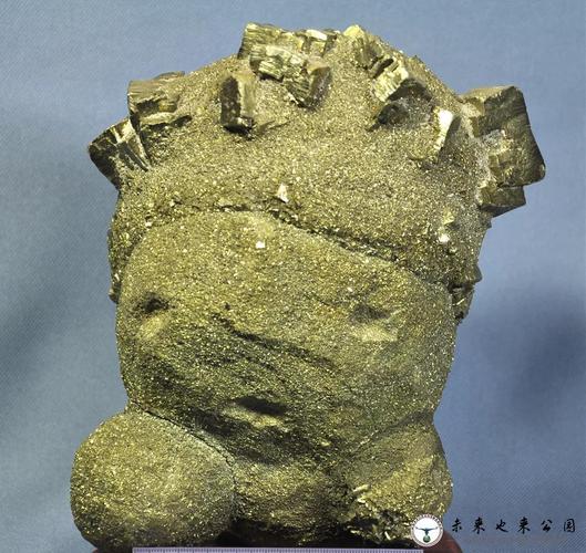 探索自然奥秘，启迪科技未来 未来也来自然科学馆与明铁科技的科普之窗